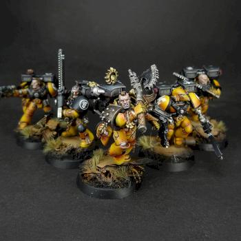 Imperial fists assault squad by Dave paints