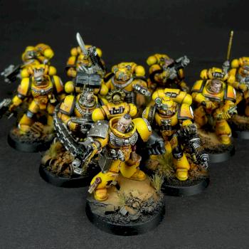imperial fists tactical squad 2 by Dave paints