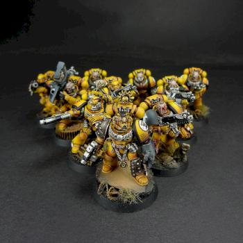 imperial fists tactical squad 1 by Dave paints