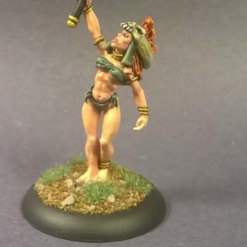 02805: Rowena, Barb. Shaman by mikecarrero