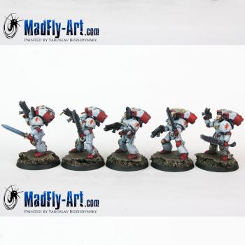 White Scars Assault Squad by MadFlyArtStudio