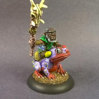 03226: Parraway Ambercane, Gnome Druid by mikecarrero