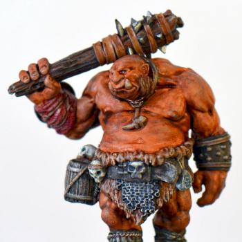 OGRE GUARD 07063 Reaper Miniatures by Mordraoi