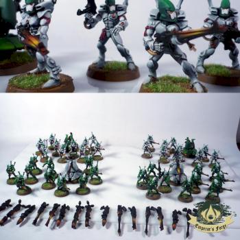 Eldar Biel-tan Guardians by RezoAmalio