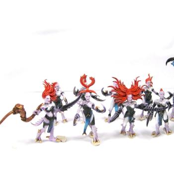 Chaos Daemons Daemonettes of Slaanesh Regiment by dydziorek
