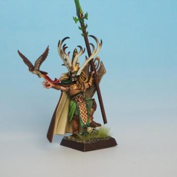 Nomad Prince / Wood Elves Lord Hero by WarArt