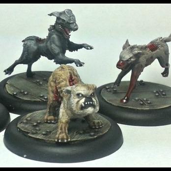 Canine Remains by Bonczek