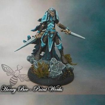 drow elf warrior by The Huntress