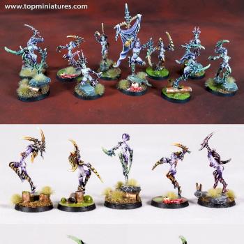 Warhammer 40k Chaos Daemons Daemonettes of Slaanesh by Topminiatures