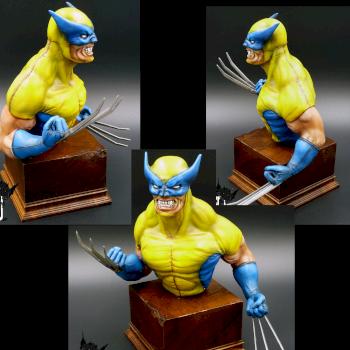Wolverine by a3dmodels
