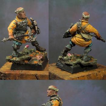 WHF Empire Soldier by jarhead