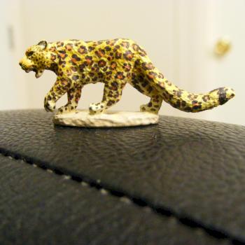 Leopard by Stillwind
