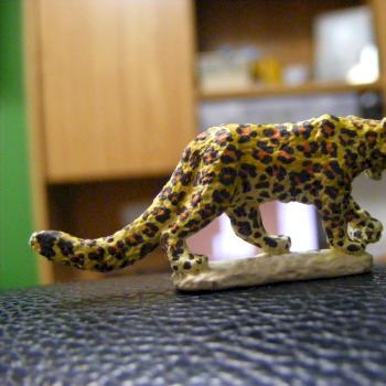 Leopard by Stillwind