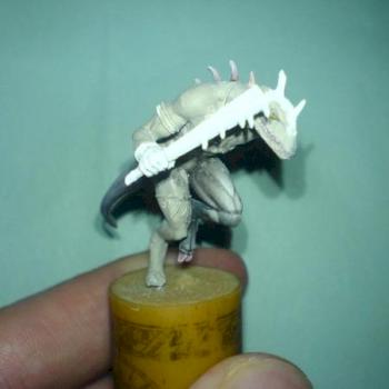wip hl meilleur photo by marc. c