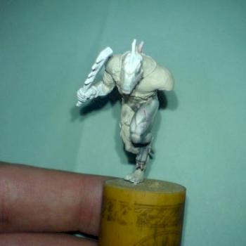 wip hl meilleur photo by marc. c