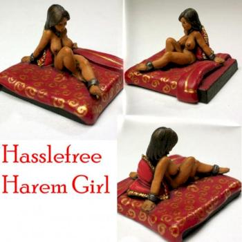 Hasslefree Harem Girl by Circe