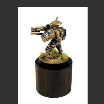 D'Yanoi FireWarrior in Oak Camo by kailore