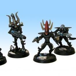 Dark Eldar Warrior Squad by Honorius