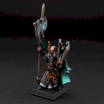 High Elf Caradryan by SavageDPainting