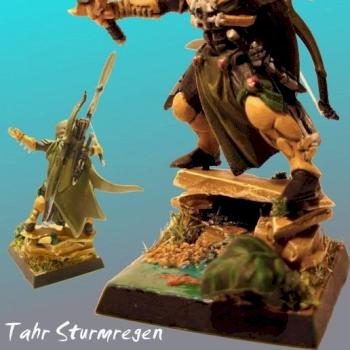 Held der Waldelfen/ Wood Elf Hero [converted] by Tassador