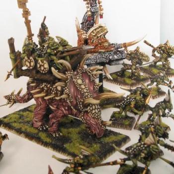 Warhammer: Well Painted Warhammer Lizard Tournament army by AM Studio