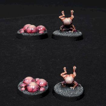 Nurgle Tokens by BloodyBeast.com
