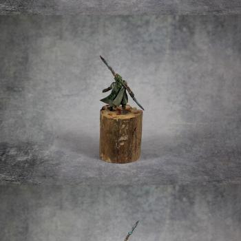 Wood Elf Eternal Guard by Matpaint