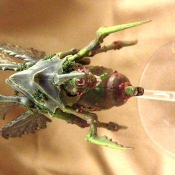 Plague Drone by Roxana Hire