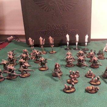 Tyranid Warriors Army For Sale by Kult69