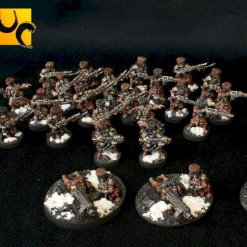 Vostroyan Army by UnlimitedColours