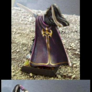 Dark elf champion by JohnMatrix