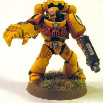 Imperial Fist Sergeant by Phryxis