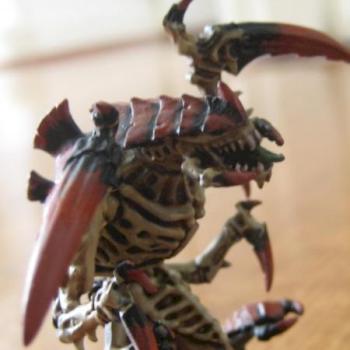 nid ravener by i dig hot dogs