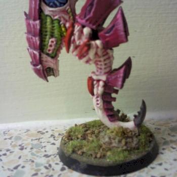 Purple Carapace Zoanthrope by leweysham
