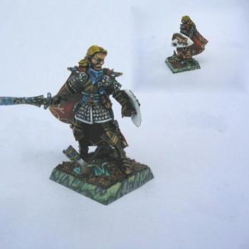 Special High Elf Campaign Charakter by trollslayer
