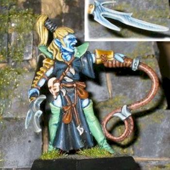 Dark Elf Beastmaster by Luti