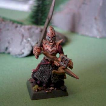 Dark Elf Warriror by Surion