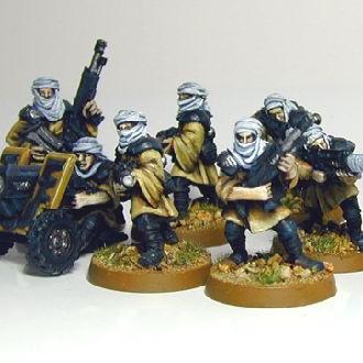 Imperial Guard Tallarn Desert Raiders by weina