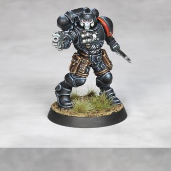 Raven Guard Reiver by El Guardian