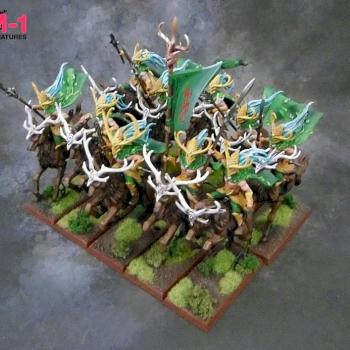 Wild Riders Age of Sigmar by malinek28