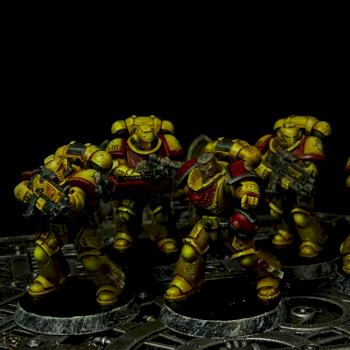 Imperial Fists intercessors by regis