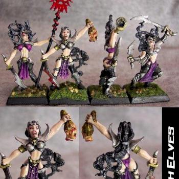 Dark Elf Witch Elves Command by virtuouswolf