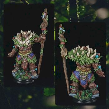 Bear Druid by Gelflin