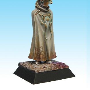 Lieutenant de cadwallon (better pics) by ANAKRON