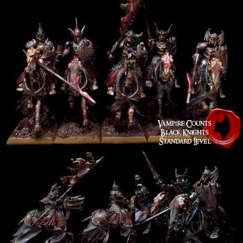 Vampire Counts Black Knights by SavageDPainting