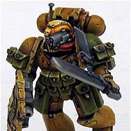 Smiley Legion veteran sergeant by ManU26