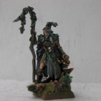 Wood Elves 