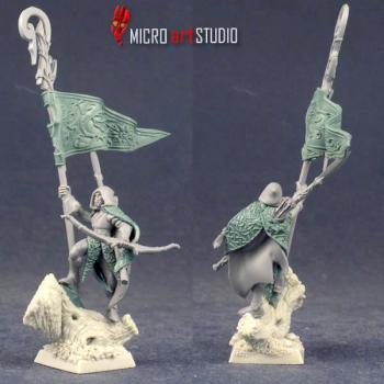 Wood Elves Standard Bearer by vandoc