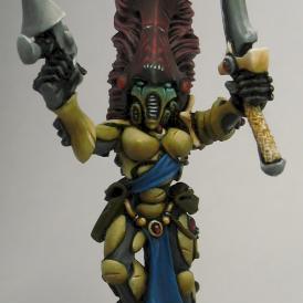 Banshee Eldar by Kahetra