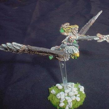wood elf mage on warhawk by T. Mack